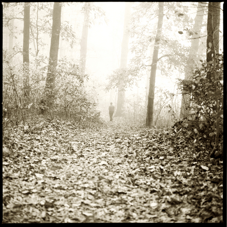 ORCHARD BEACH TRAIL