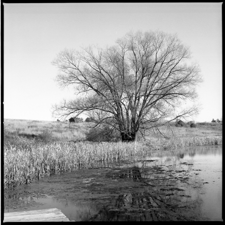 CORNING POND