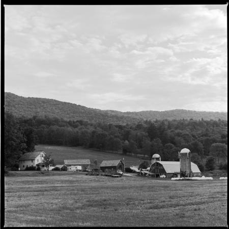 VT FARM